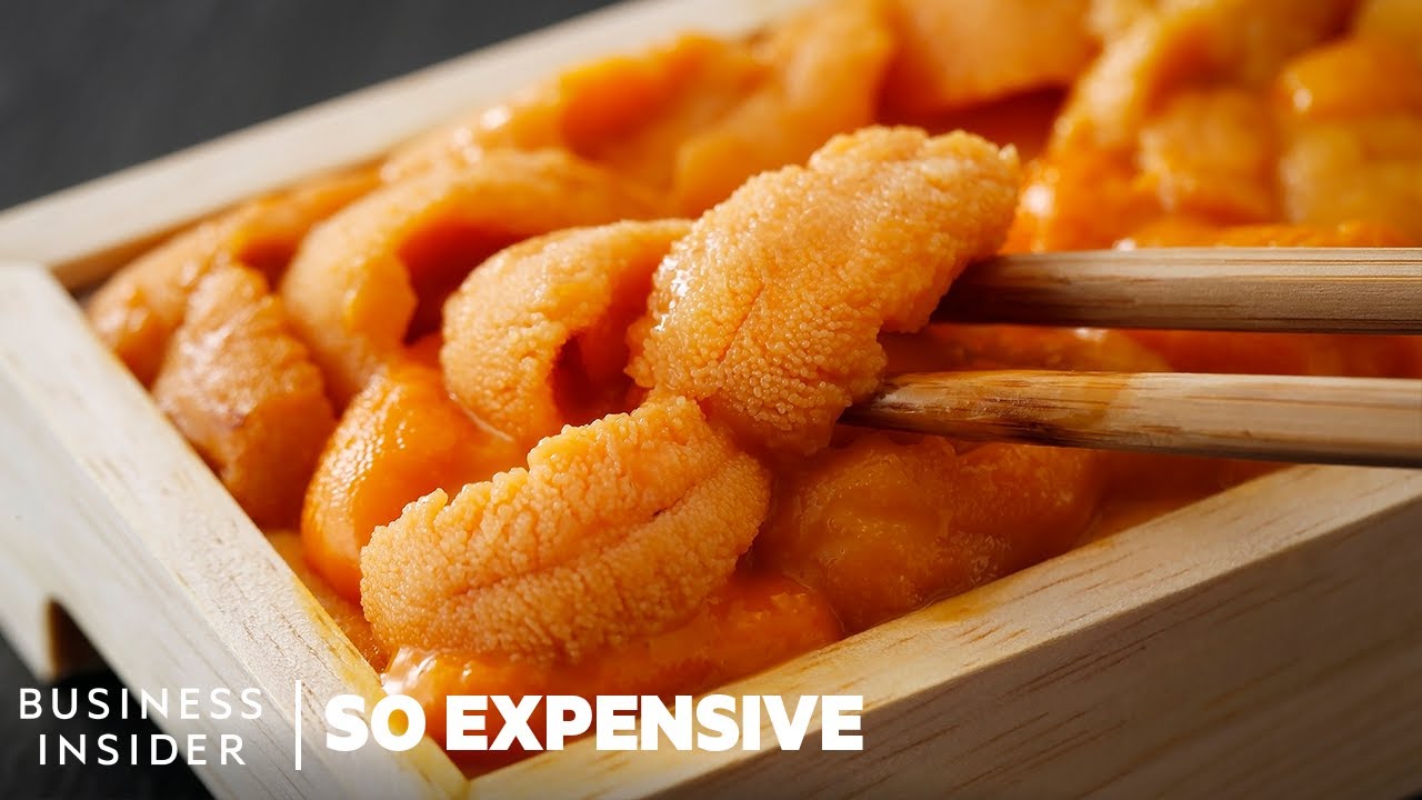 WhySeaUrchinsAreSoExpensiveSoExpensive McKoysNews