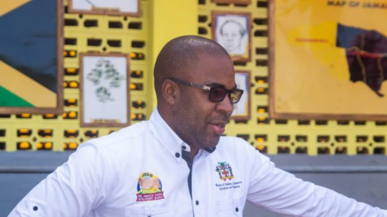 Mckoysnews Jamaican News Global News Sports News Political News