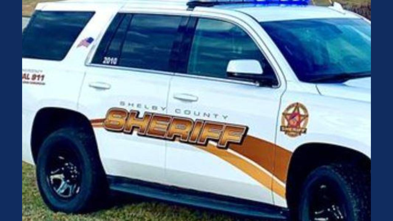 Pet wolf hybrid attacks, kills 3month old baby in Alabama McKoysNews(02)