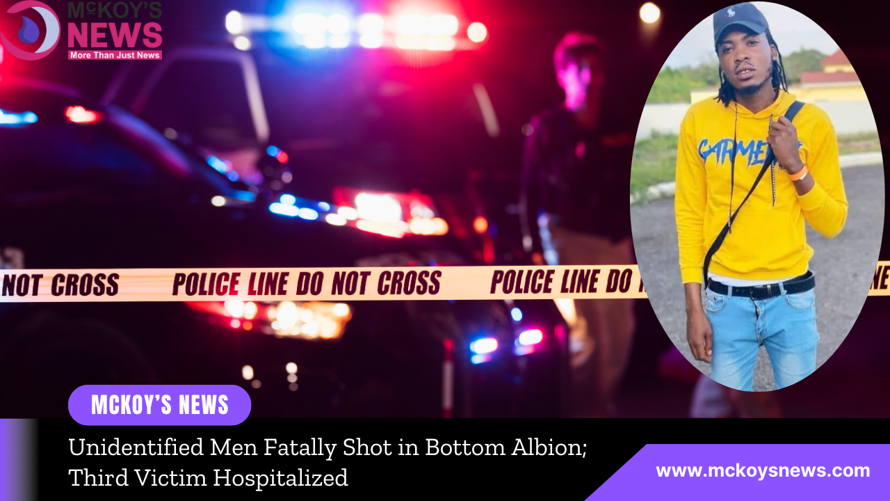 Unidentified Men Fatally Shot in Bottom Albion; Third Victim ...