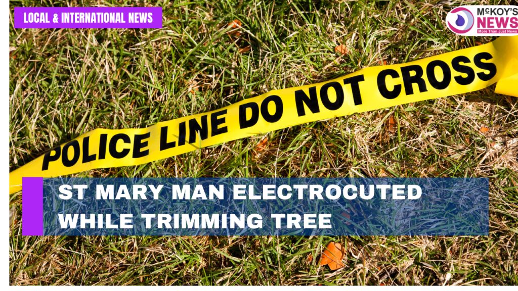 St Mary Man Electrocuted While Trimming Tree in Enfield McKoysNews