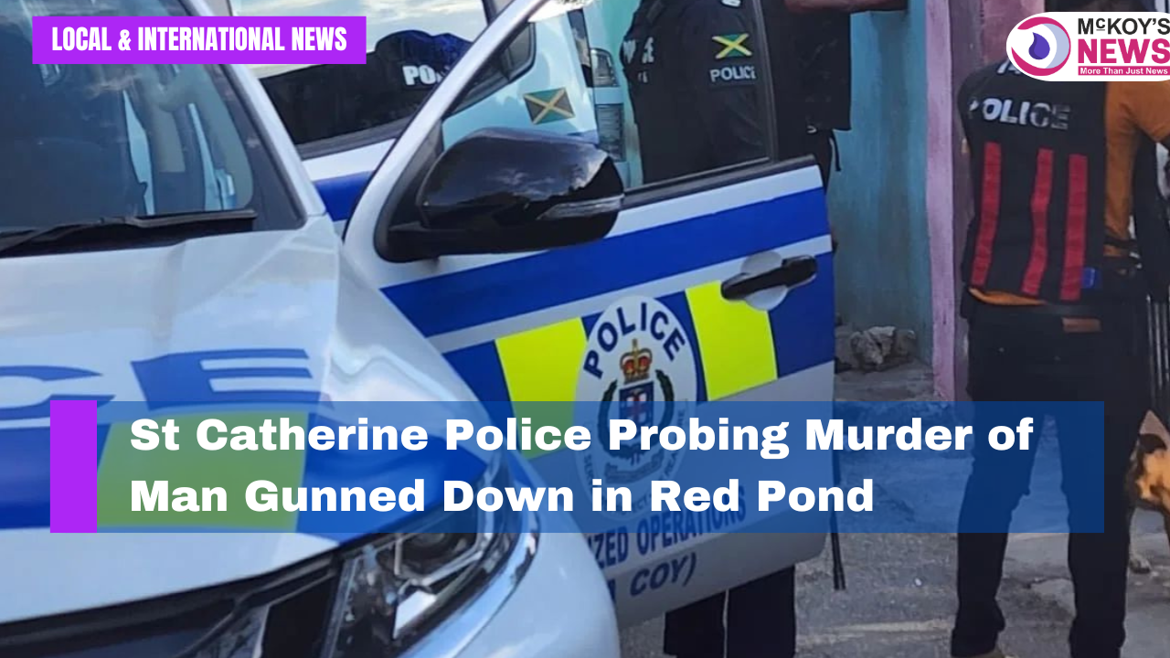 St Catherine Police Probing Murder of Man Gunned Down in Red Pond ...