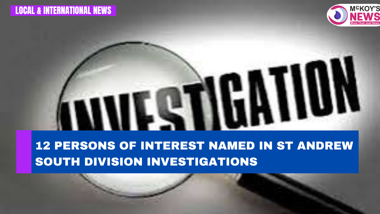 12 Persons of Interest Named in St Andrew South Division Investigations