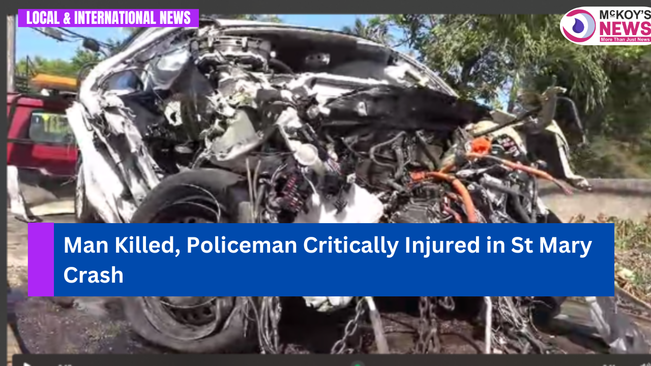 Man Killed, Policeman Critically Injured in St Mary Crash - McKoysNews