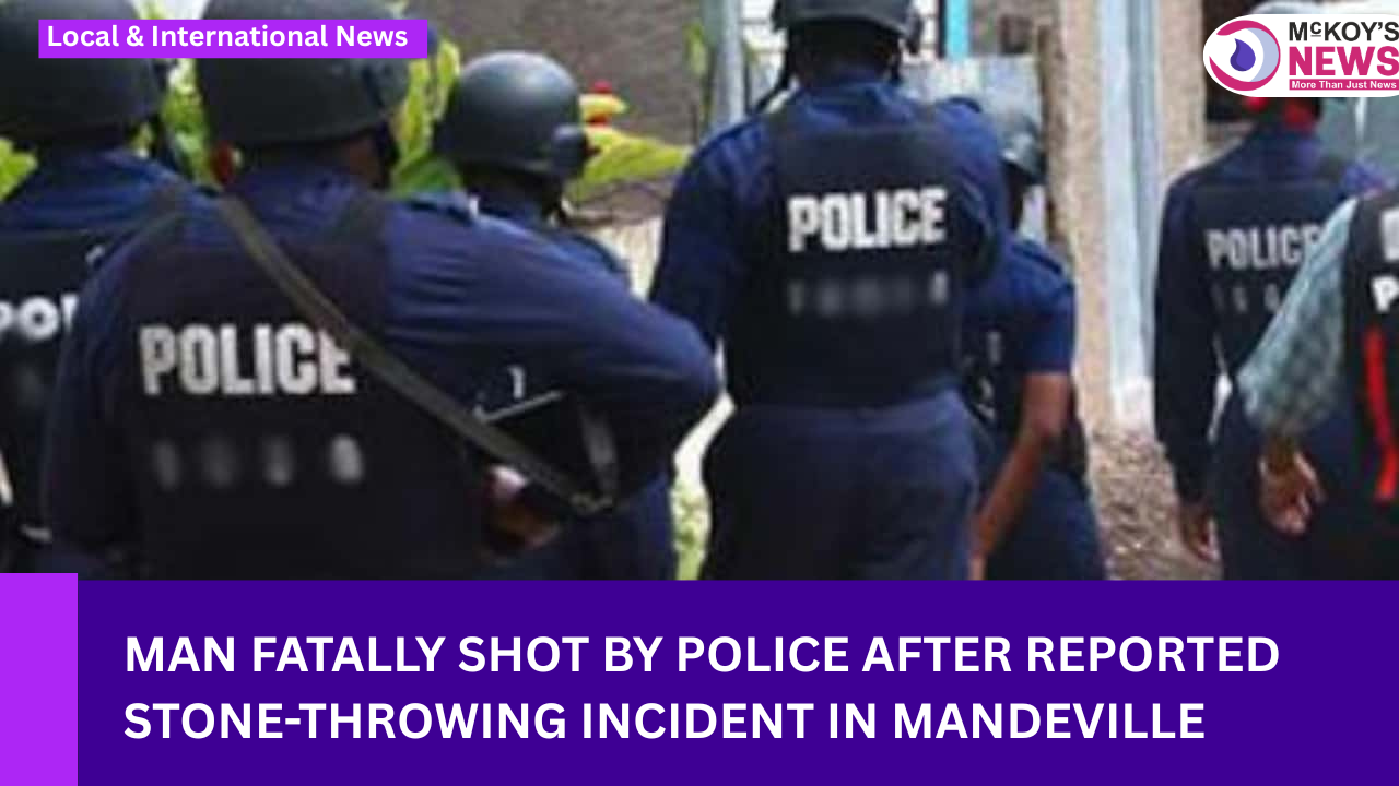 Man Fatally Shot by Police After Reported Stone-Throwing Incident in ...