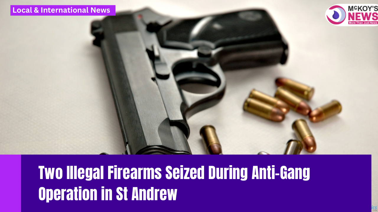 Two Illegal Firearms Seized During Anti-Gang Operation in St Andrew ...
