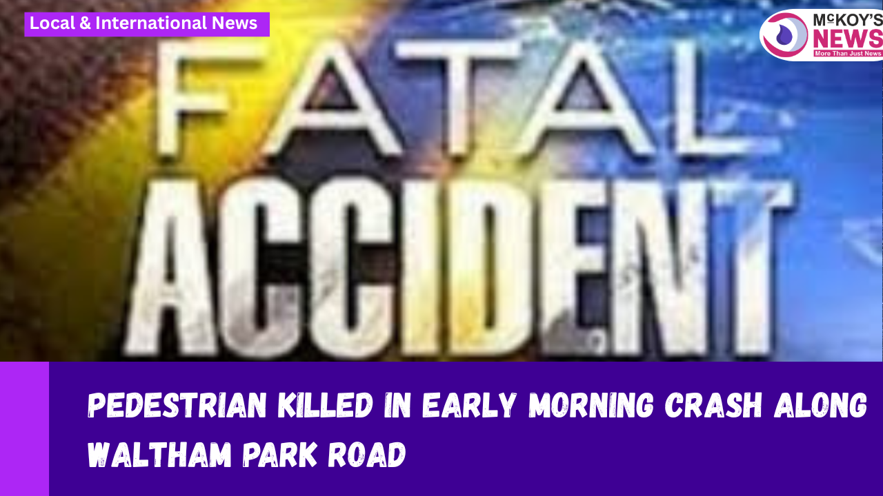 Pedestrian Killed in Early Morning Crash Along Waltham Park Road ...