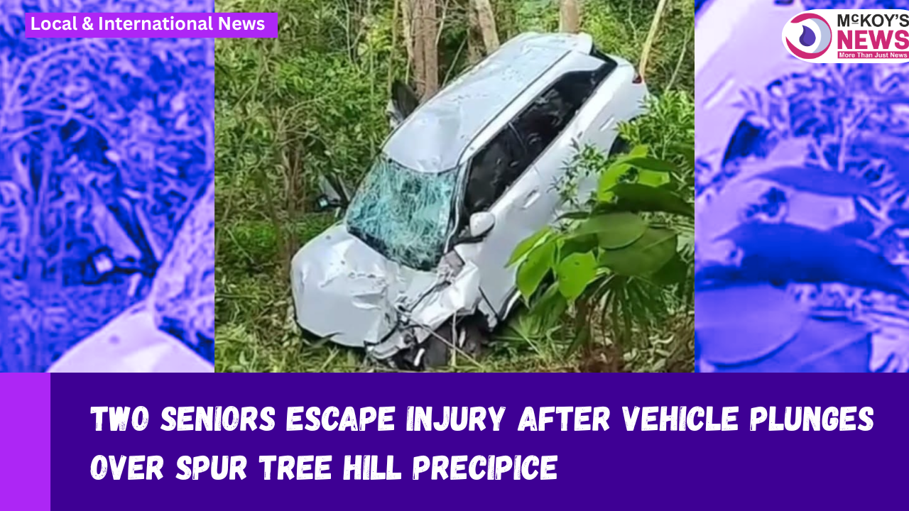 Two Seniors Escape Injury After Vehicle Plunges Over Spur Tree Hill ...